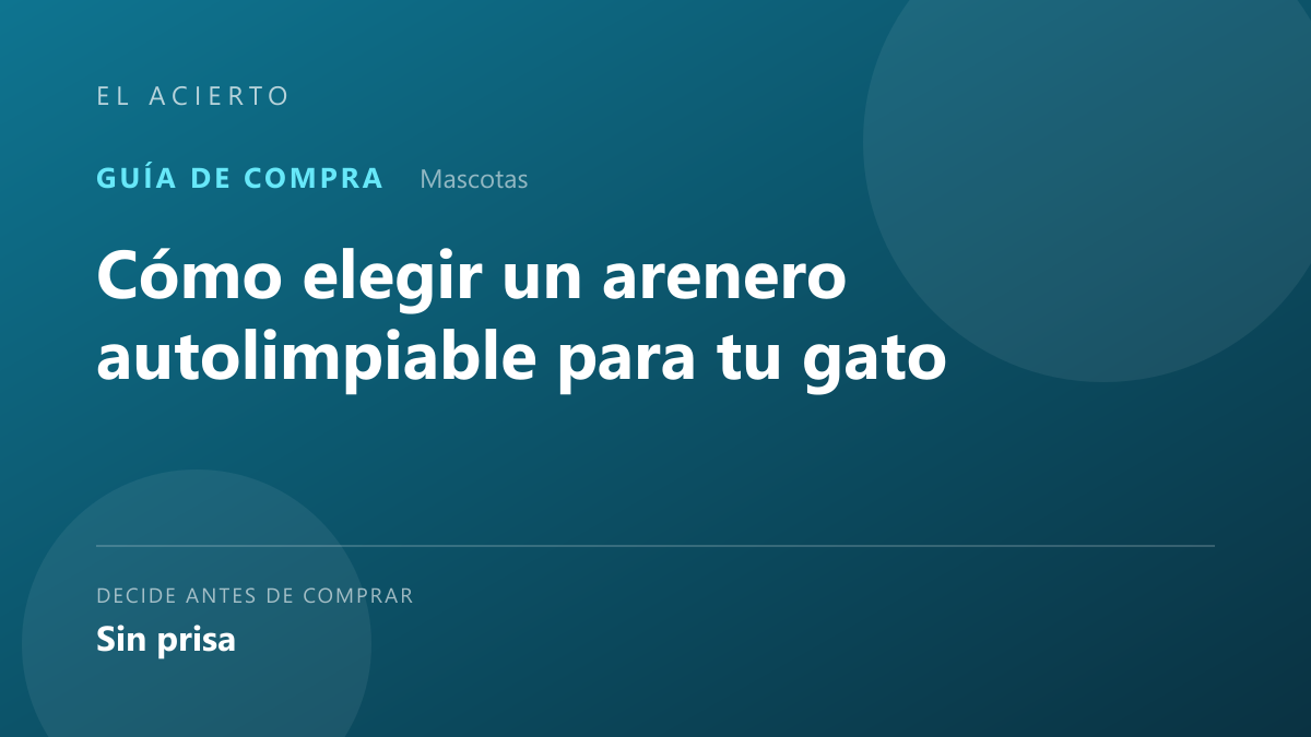 Cómo elegir un arenero autolimpiable para tu gato